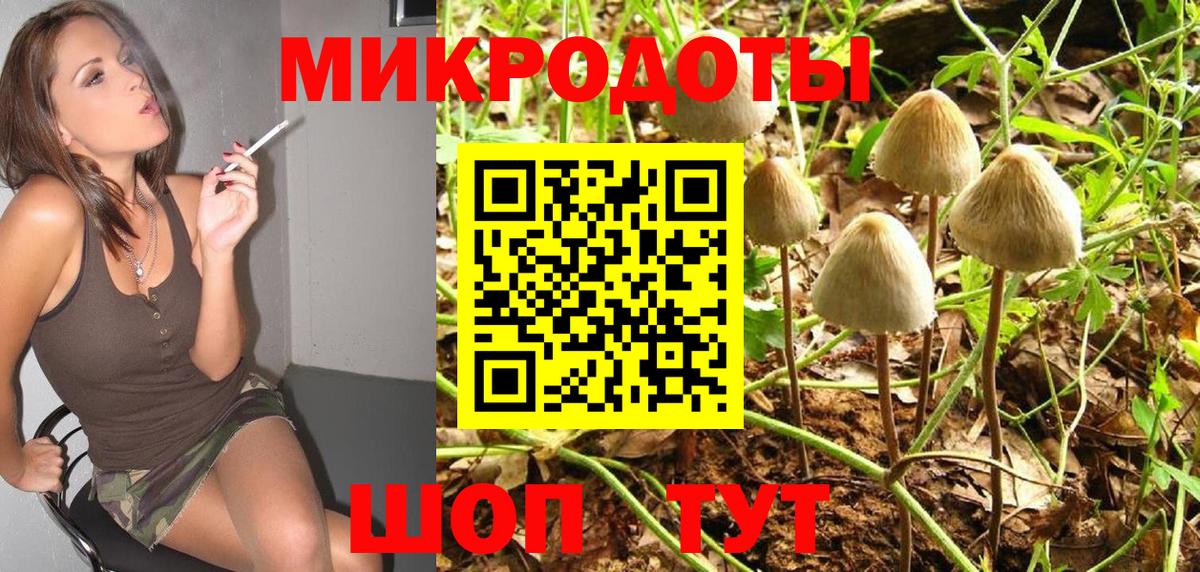 Галлюциногенные грибы мицелий  Вход с VPN  Сунжа 