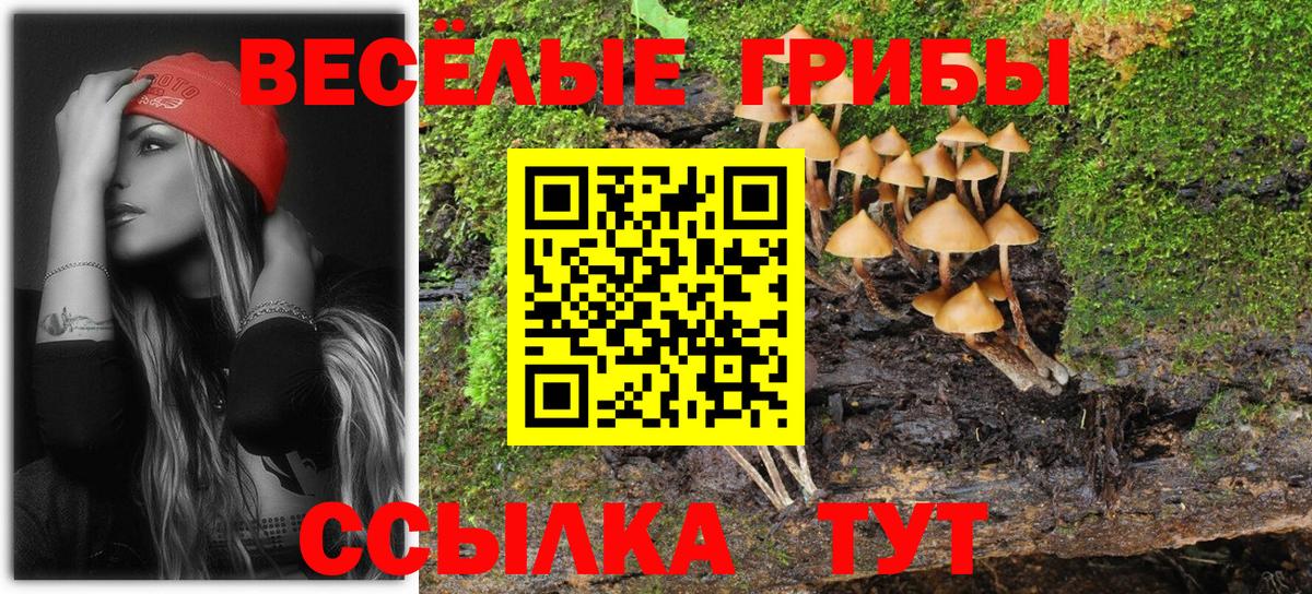 Псилоцибиновые грибы Magic Shrooms Сунжа